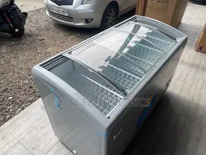 Profound Delron Ice Cream Display Freezer Tropicalized Compressor