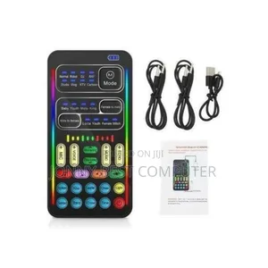 Voice Charger