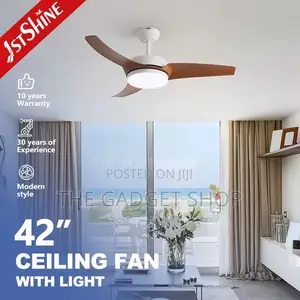 Ceiling Fan With Light (White Brown)