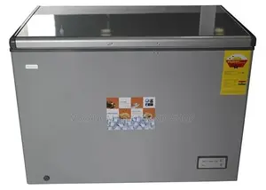 Nasco 380 Litres Chest Freezer