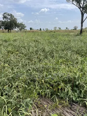 30 Acres Of Farmland For Sale