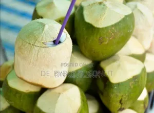 Coconut Retailer and Wholesale