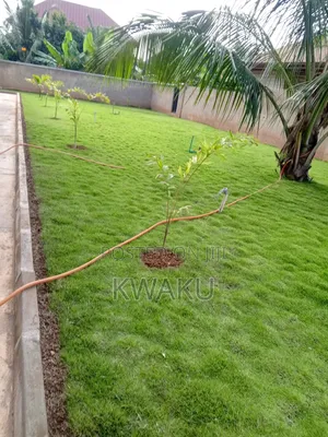 Landscape,Flowers and Green Grass for Sale, Garden Development.