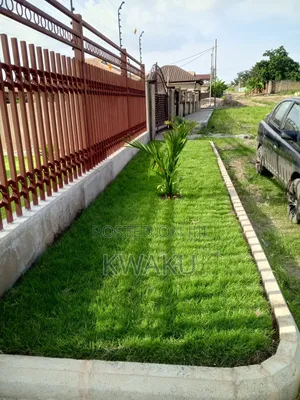 Landscape,Flowers and Green Grass for Sale, Garden Development.