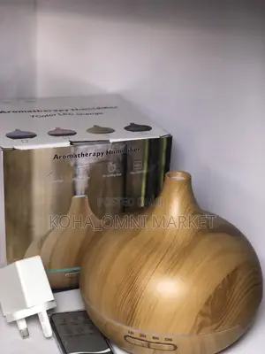 500ml Humidifier