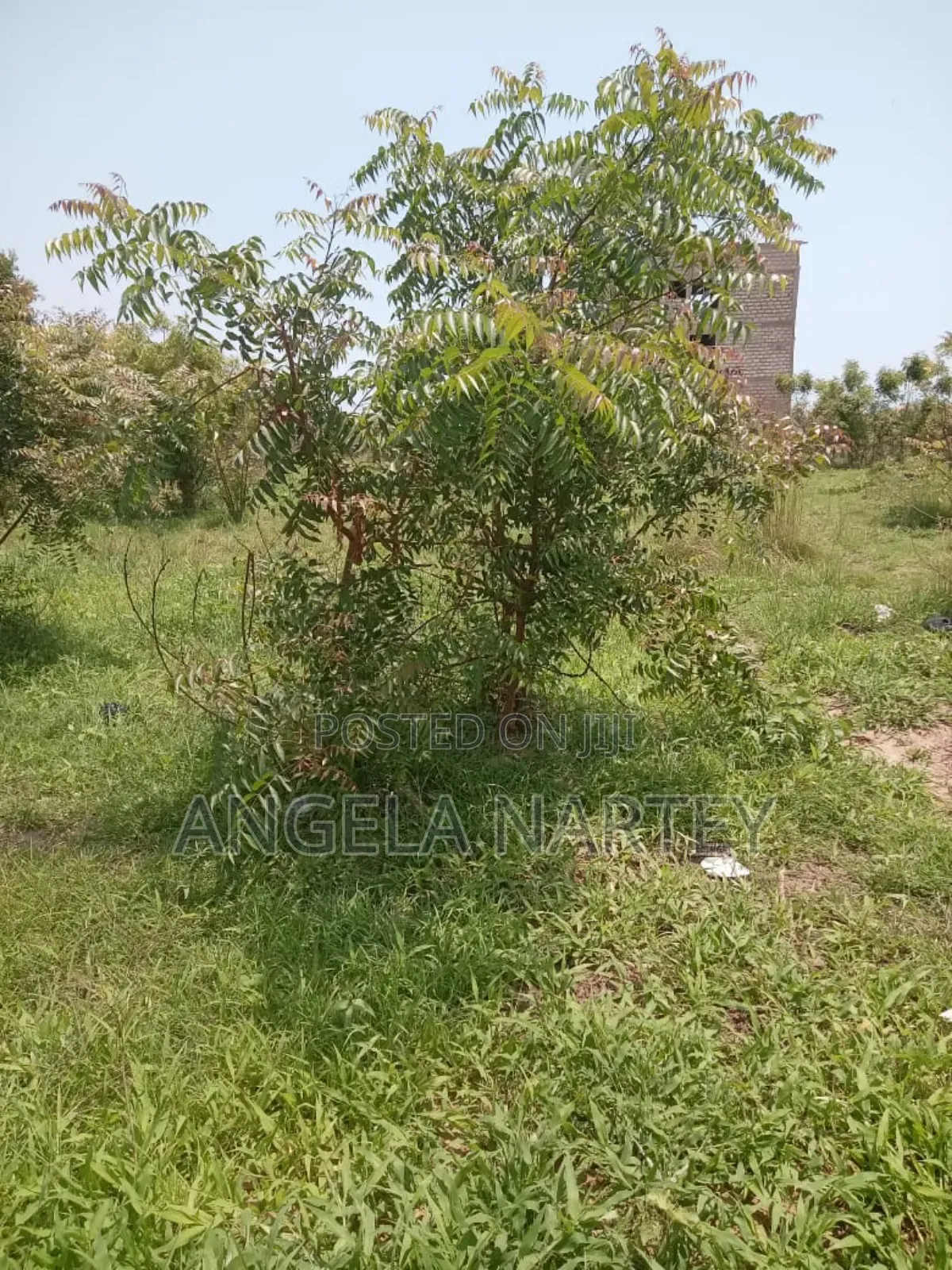 Main Roadside Land at Ajiriganor-East Legon Highway
