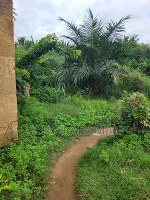 Two Plots of Land at Sorkoban Krofrom Adumasa
