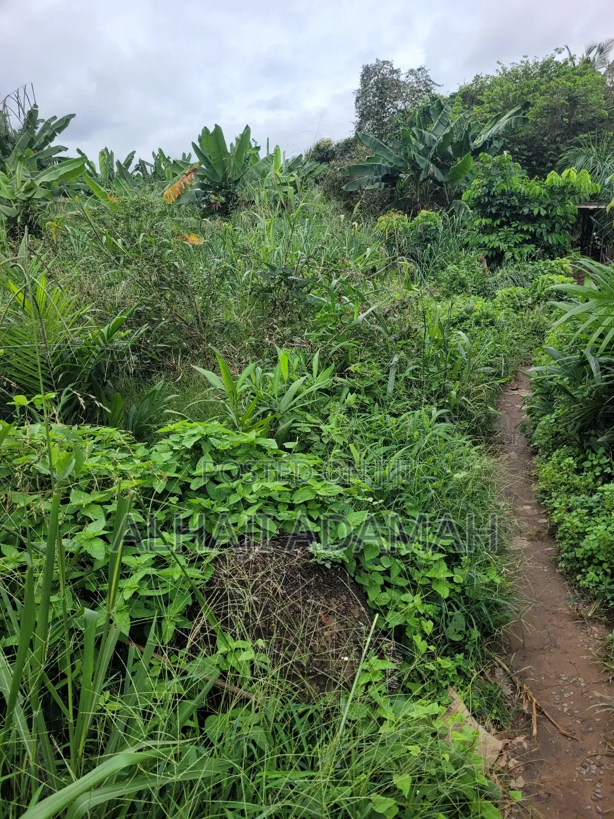 Two Plots of Land at Sorkoban Krofrom Adumasa