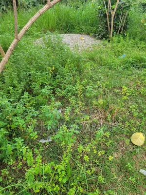 Two Plots of Land at Sorkoban Krofrom Adumasa