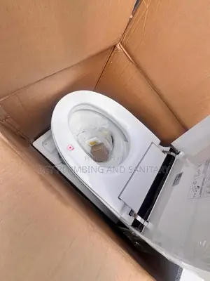 Remote Control Water Closet_smart Wc_sensor Wc