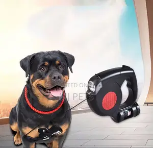 Retractable Leash