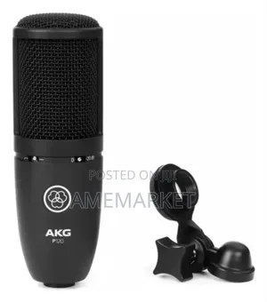 Akg-P120 Professional Recording Condenser Microphone