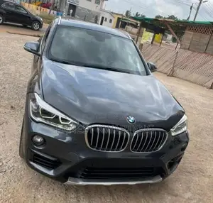 BMW X1 2017 Gray