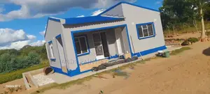 Omega 3d Professional Painter