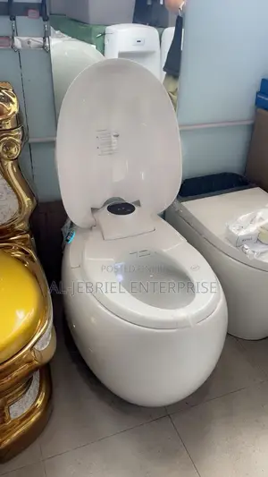 Smart Water Closet (Motion Sensor/Remote Control)
