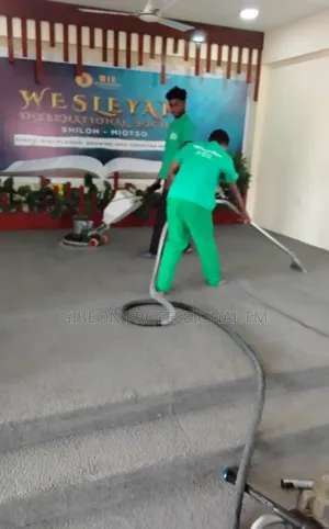 Professional Fix Carpet Cleaners! Keep It Nicer