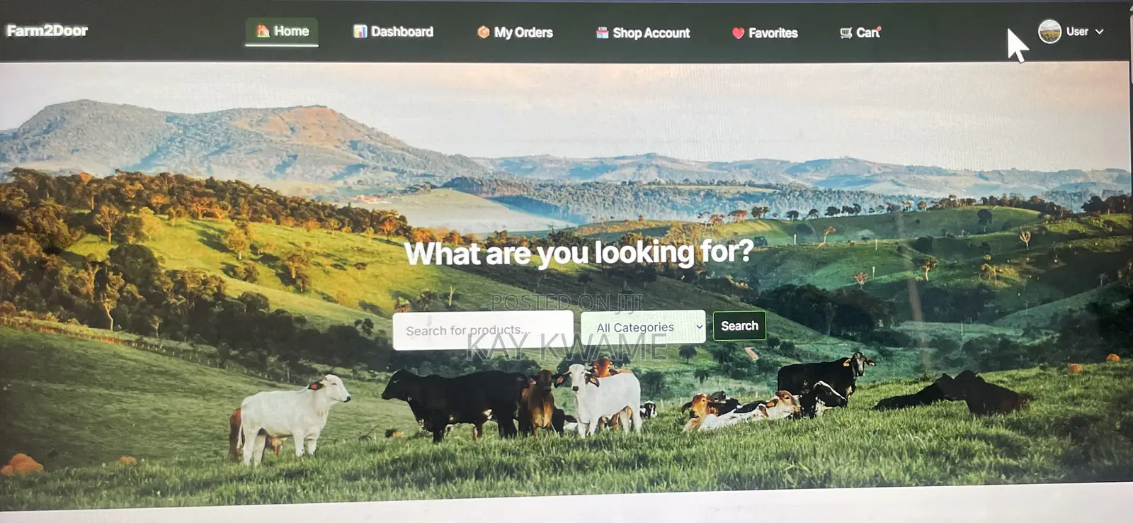 Full Stack Web Development