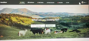 Full Stack Web Development