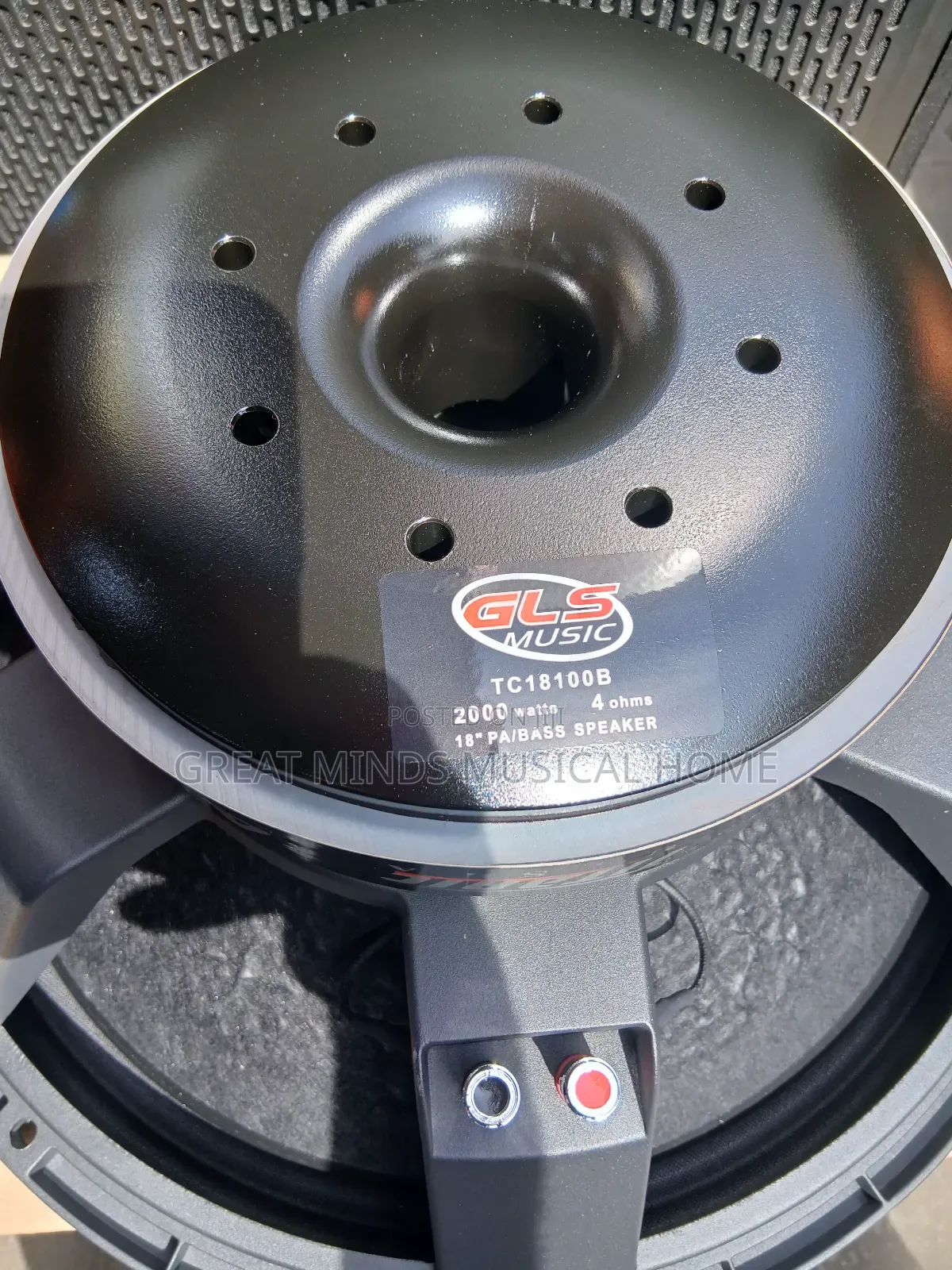 GLS Titanic 2000 Watts 18" Naked Speakers