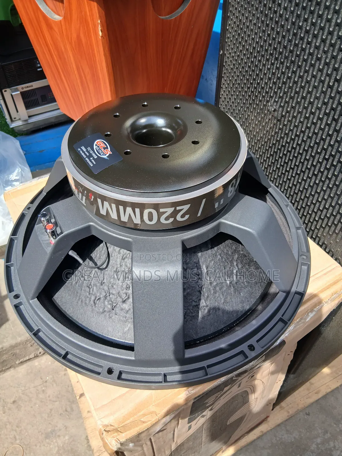 GLS Titanic 2000 Watts 18" Naked Speakers