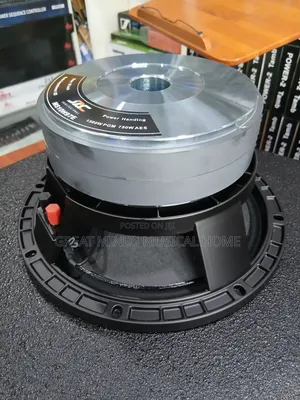 Jac 10 Inches Double Magnet Naked Speaker