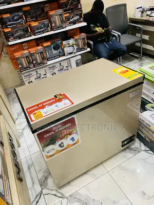 Best Buy for Less Chest Freezer Single Door 238l Zara. Gold