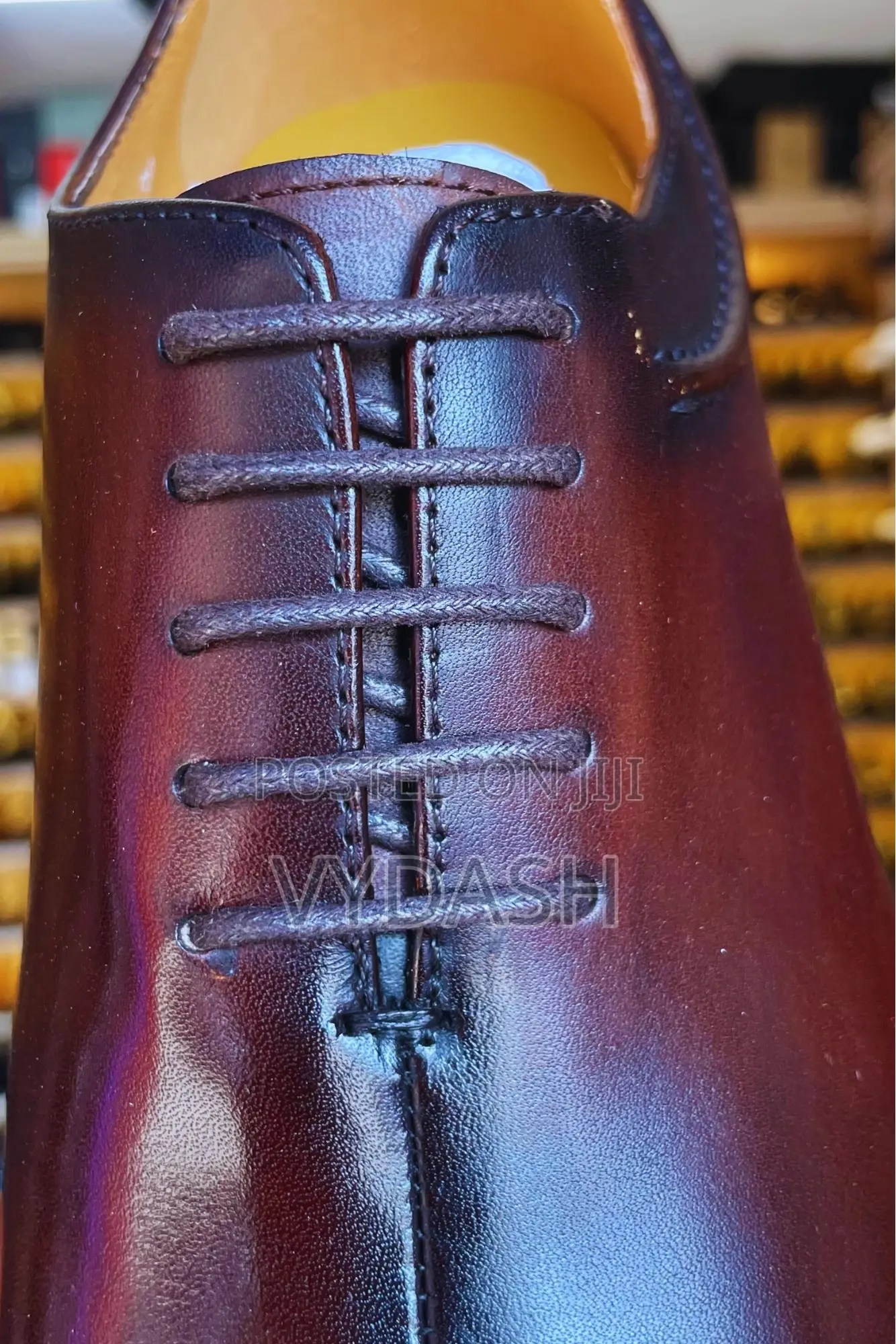 Classic Coffee Lace Shoe