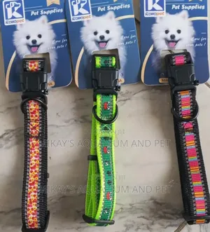 Cute Dog Collars