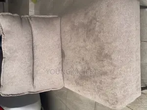 Couch and Bed Cleaning Services