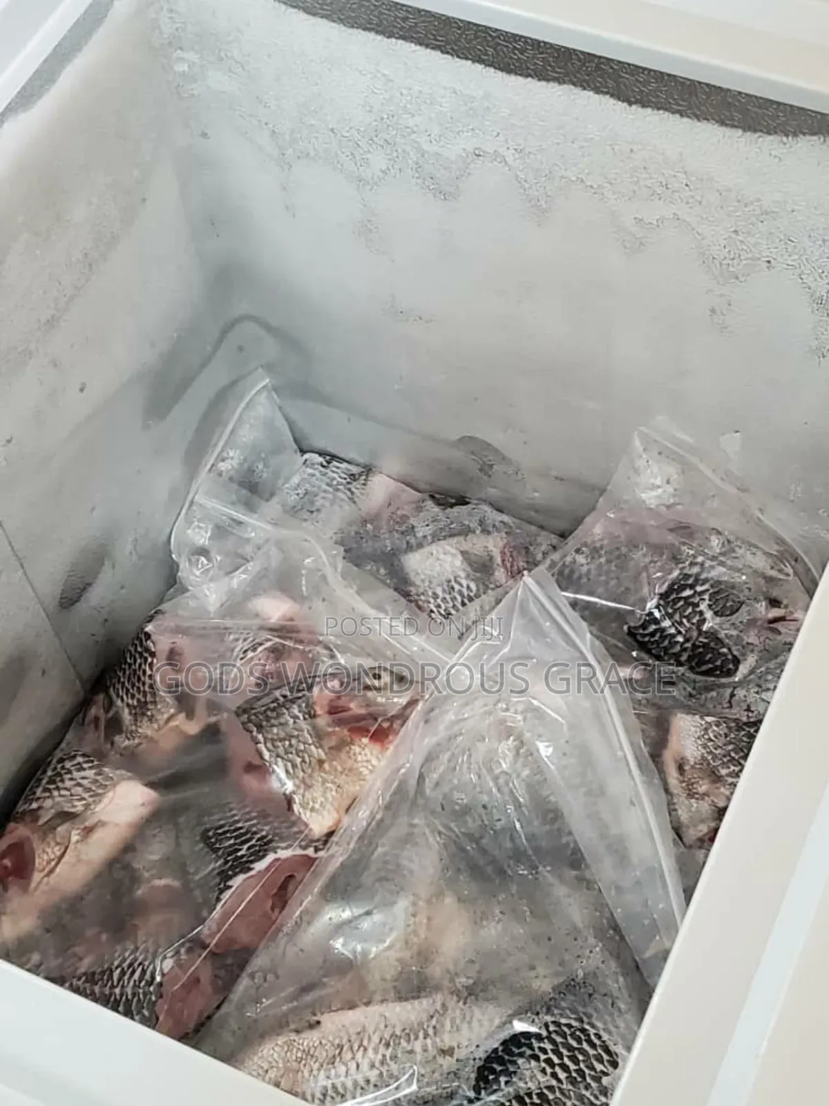 Volta Catch Tilapia