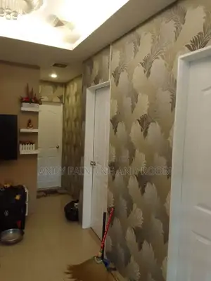Professional 3d Wallpaper Installer and Painter