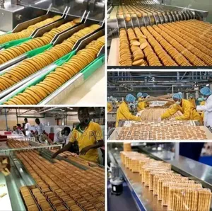 Biscuit Factory Workers Needed Urgently