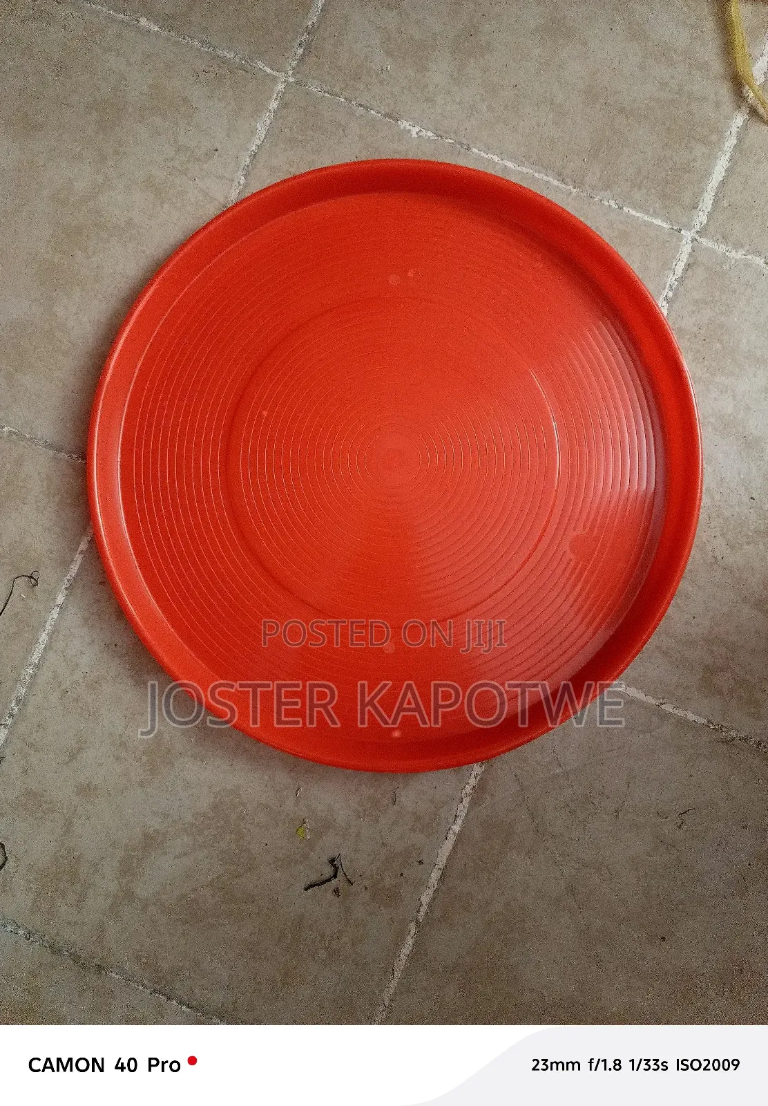 Chicks Trays