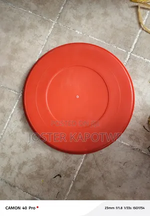 Chicks Trays