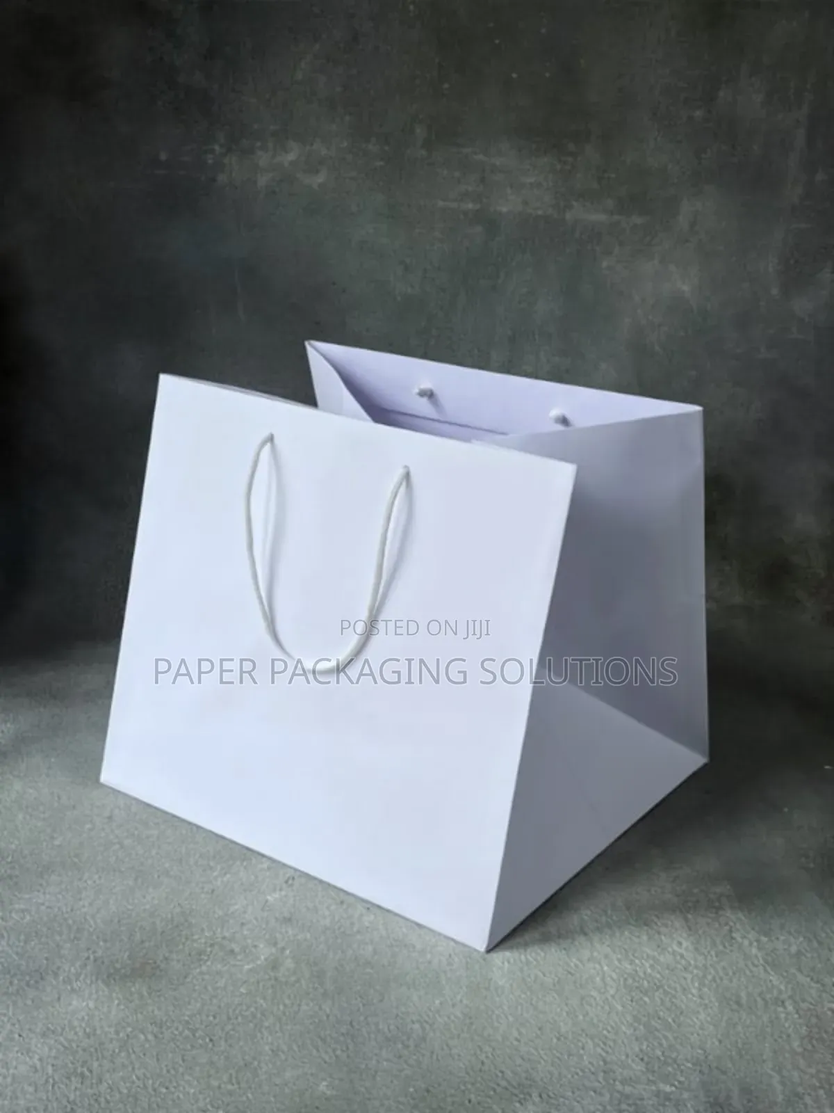 White Glossy Paper Bags