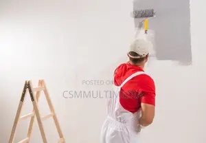 Professional Painter