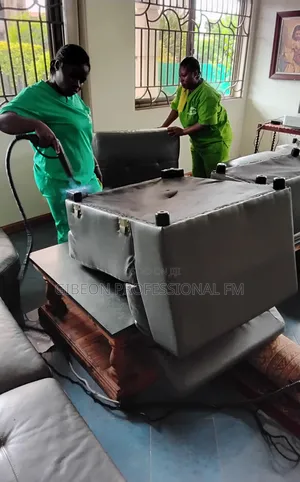 Professional Steam Leather Sofa Cleaning and Polishing