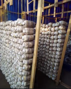 Mushroom Fruiting Bags