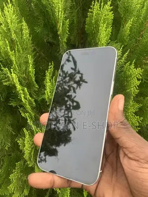 Apple iPhone 14 Pro Max 256 GB White