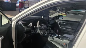 Car Rentals