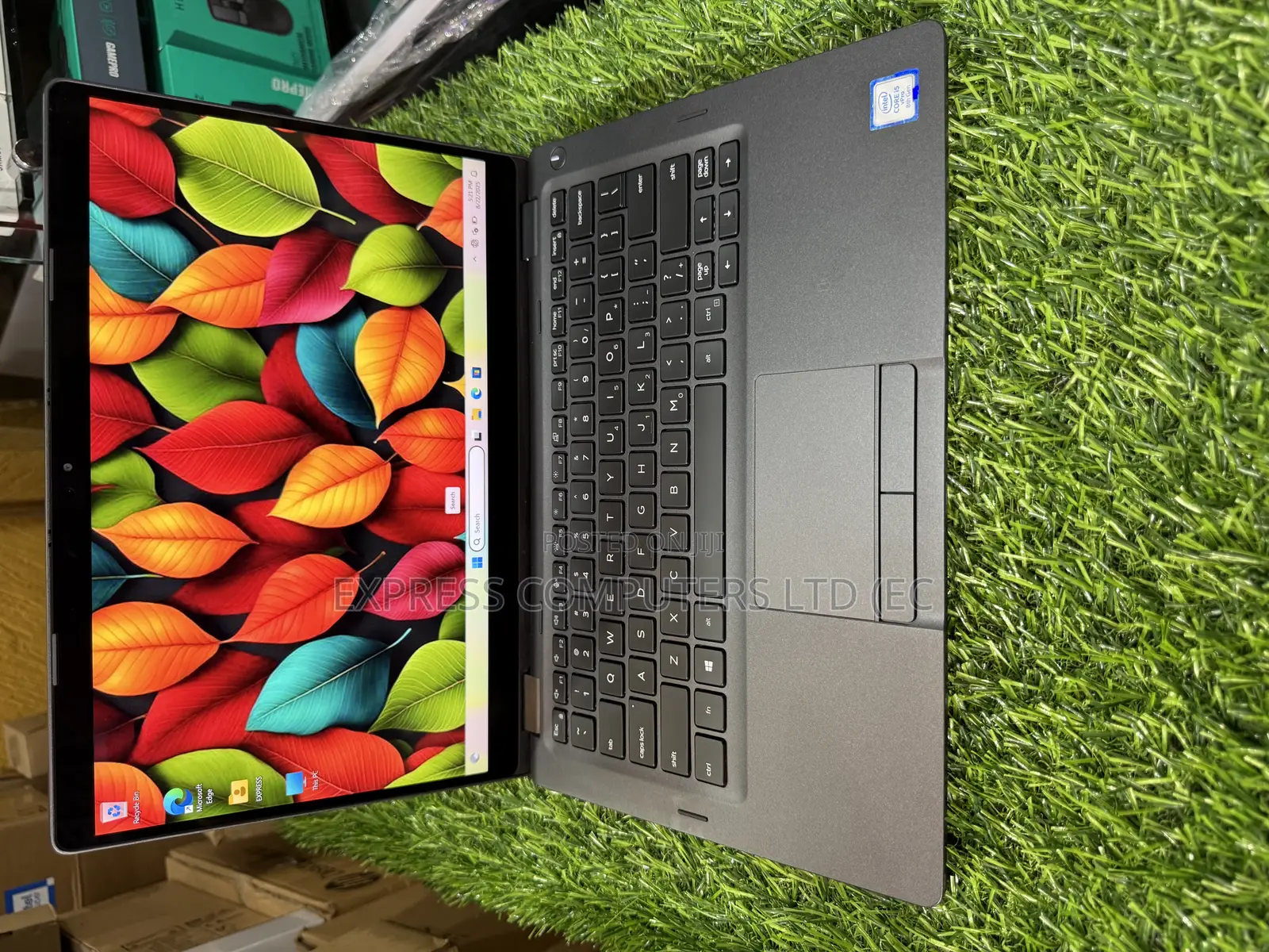 Laptop Dell Latitude 5300 16GB Intel Core I5 SSD 256GB