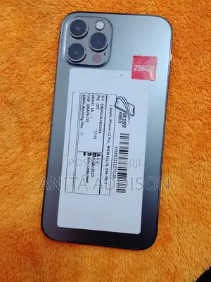 Apple iPhone 12 Pro 256 GB Gray