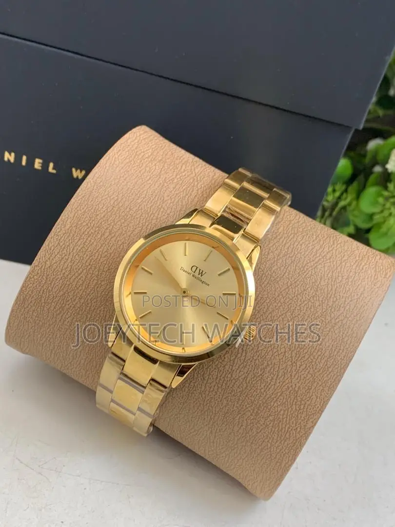 Original Daniel Wellington Ladies Chain Watches