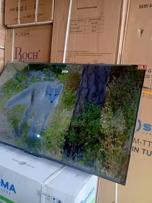 TCL Bring Home the Future With a 55-Inch TCL Smart Tv