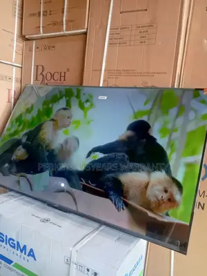 TCL Big Screen, Smart Choice – 55-Inch Smart TCL Tv