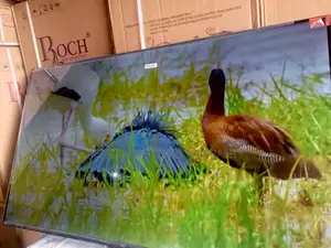 TCL 55-Inch Smart Tv – Best Value for Your Entertainment and Games