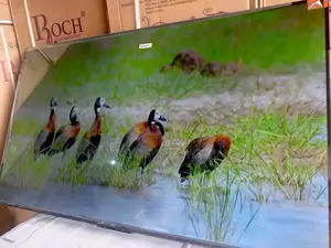 TCL 55-Inch Smart Tv – Best Value for Your Entertainment and Games