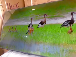 Transform Your Space With TCL 55-Inch Smart Tv