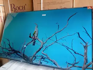 TCL 55-Inch Smart Television – Pure Visual Perfection TCL
