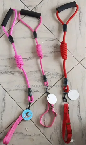 Leash With Collar for Dogs and Cats